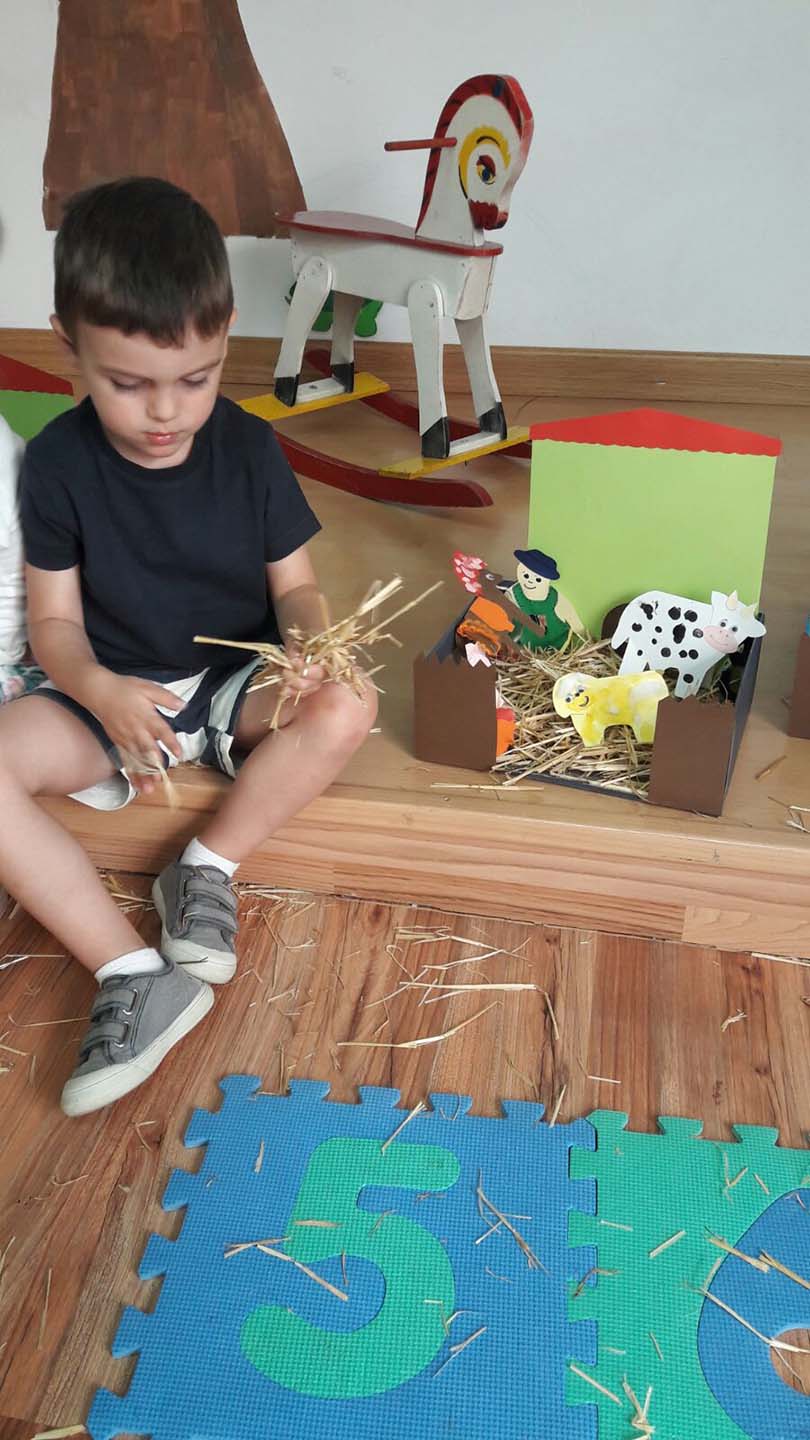 Preparando mi granja